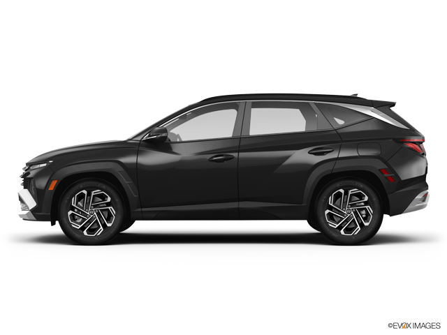 2025 Hyundai TUCSON Vehicle Photo in Statesboro, GA 30458