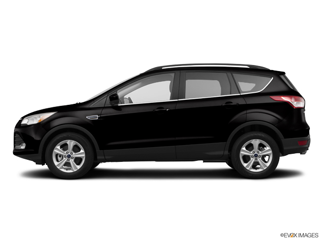 2014 Ford Escape Vehicle Photo in Lees Summit, MO 64086