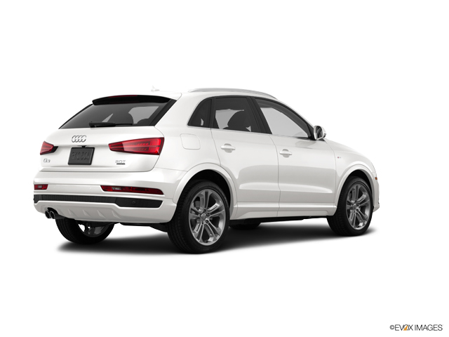 2016 Audi Q3 Vehicle Photo in Trevose, PA 19053