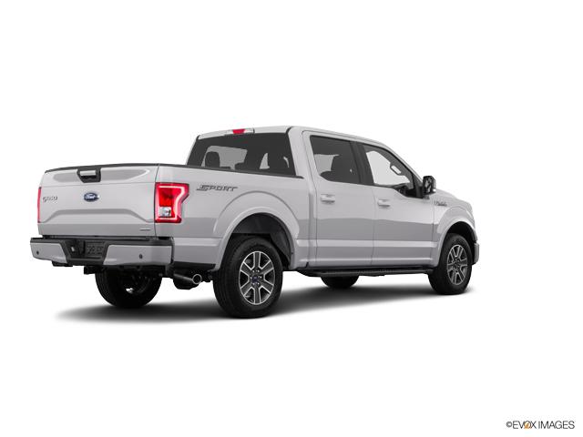 2017 Ford F-150 Vehicle Photo in Bluffton, SC 29910