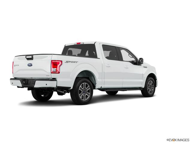 2017 Ford F-150 Vehicle Photo in Statesboro, GA 30458