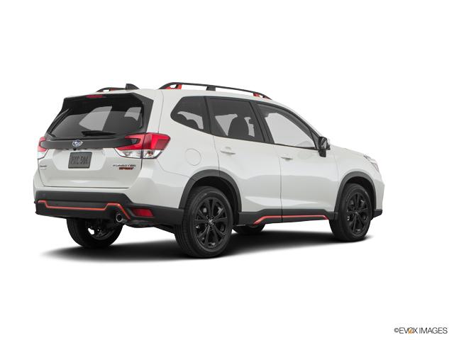 2019 Subaru Forester Vehicle Photo in Easton, PA 18045
