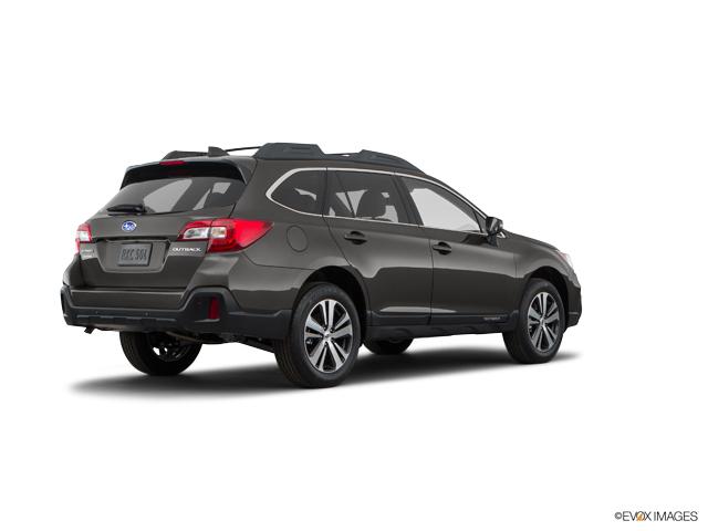2019 Subaru Outback Vehicle Photo in Trevose, PA 19053