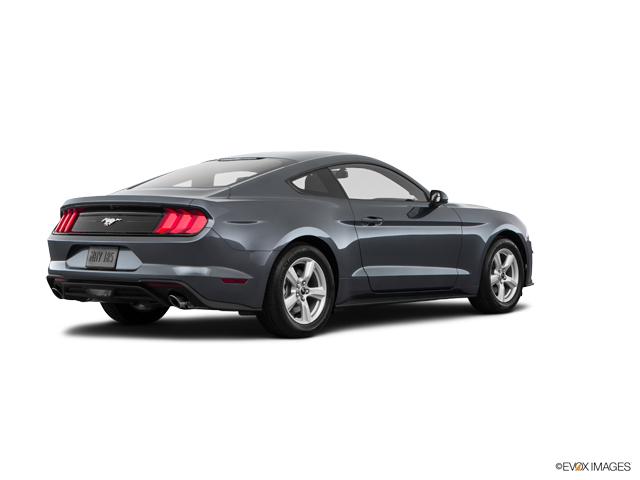 2019 Ford Mustang Vehicle Photo in Hinesville, GA 31313