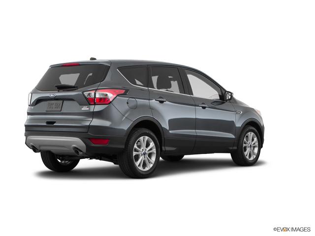 2019 Ford Escape Vehicle Photo in Statesboro, GA 30458