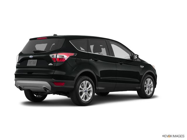 2019 Ford Escape Vehicle Photo in BEAUFORT, SC 29906-4218