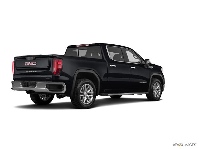 2019 GMC Sierra 1500 Vehicle Photo in Statesboro, GA 30458