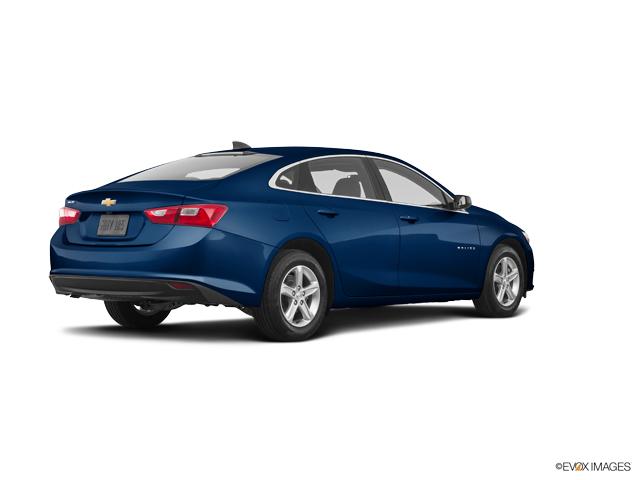 2019 Chevrolet Malibu Vehicle Photo in INDEPENDENCE, MO 64055-1377