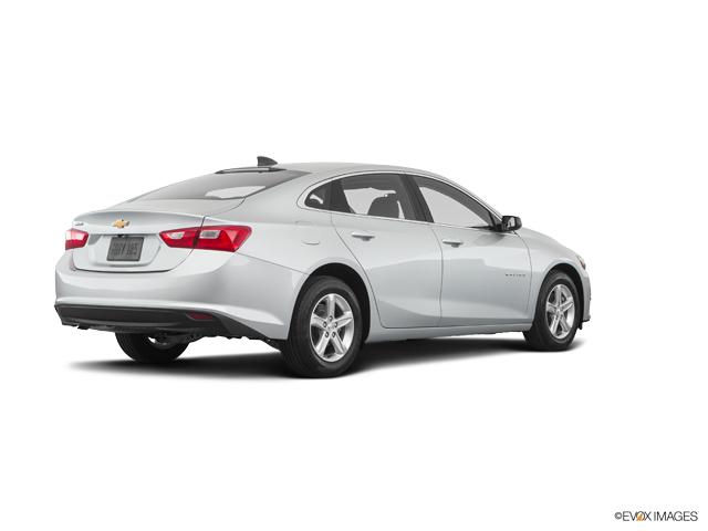 2019 Chevrolet Malibu Vehicle Photo in INDEPENDENCE, MO 64055-1314