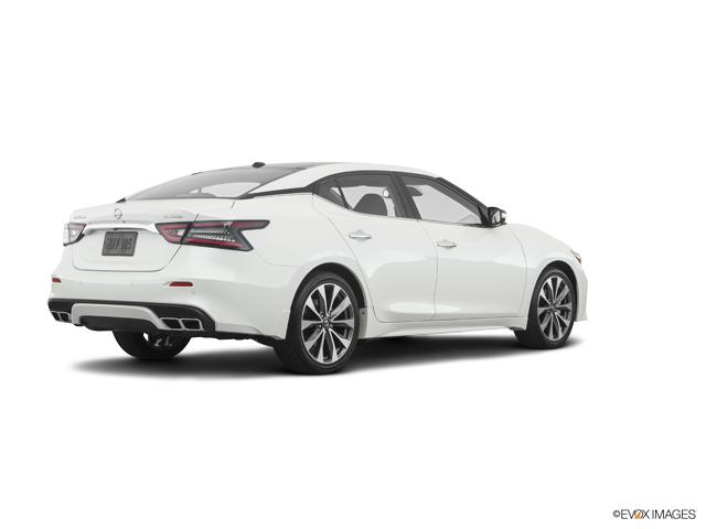 2019 Nissan Maxima Vehicle Photo in Savannah, GA 31419