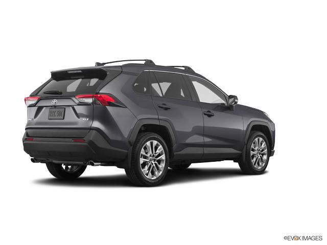 2019 Toyota RAV4 Vehicle Photo in Lees Summit, MO 64086