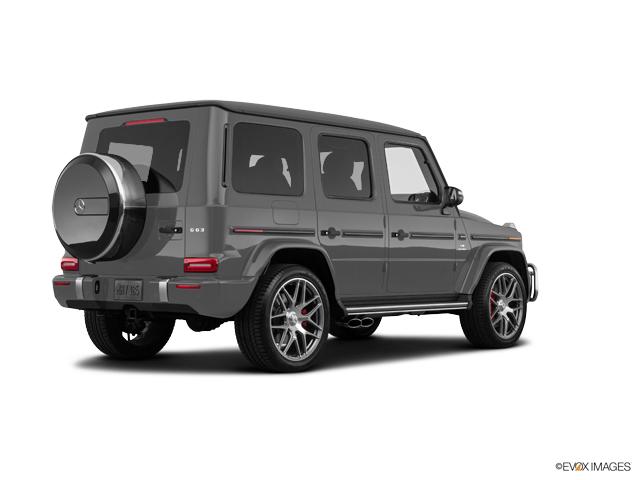 2019 Mercedes-Benz G-Class Vehicle Photo in BETHLEHEM, PA 18017-9401