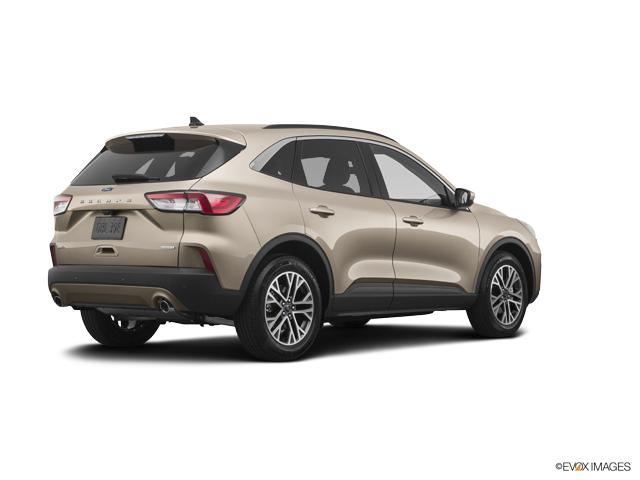 2020 Ford Escape Vehicle Photo in Lees Summit, MO 64086
