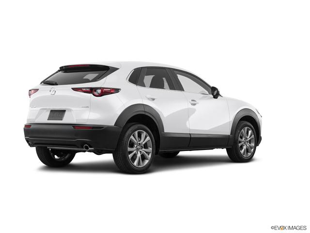 2021 Mazda CX-30 Vehicle Photo in Lees Summit, MO 64086