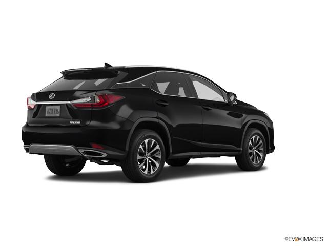 2022 Lexus RX 350 Vehicle Photo in Willow Grove, PA 19090
