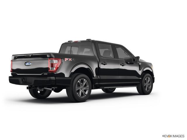 2022 Ford F-150 Vehicle Photo in Hinesville, GA 31313
