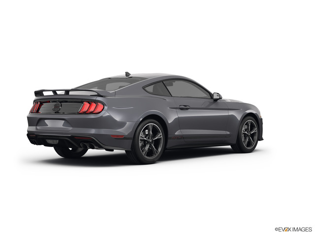 2022 Ford Mustang Vehicle Photo in Brunswick, GA 31525