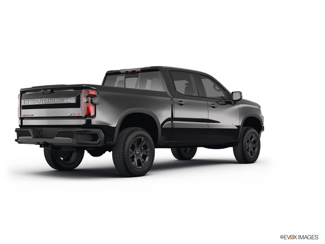 2022 Chevrolet Silverado 1500 Vehicle Photo in KANSAS CITY, MO 64114-4502