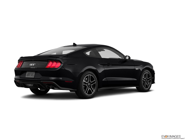 2023 Ford Mustang Vehicle Photo in Lees Summit, MO 64086