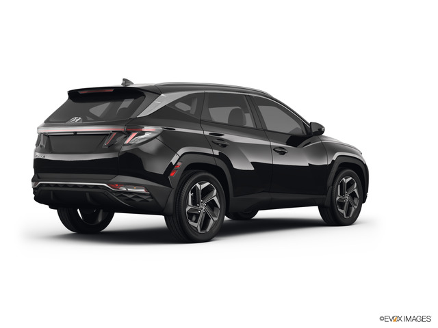 2023 Hyundai TUCSON Vehicle Photo in Brunswick, GA 31525