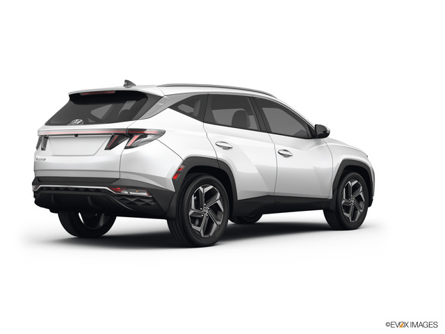 2023 Hyundai TUCSON Vehicle Photo in BRUNSWICK, GA 31525-1881