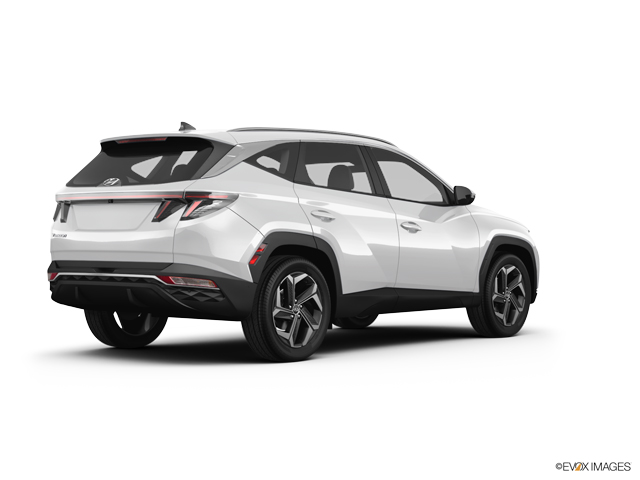 2024 Hyundai TUCSON Vehicle Photo in Lees Summit, MO 64086