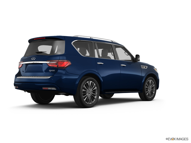 2024 INFINITI QX80 Vehicle Photo in Willow Grove, PA 19090