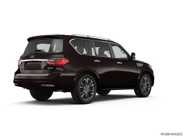 2024 INFINITI QX80 Vehicle Photo in Willow Grove, PA 19090