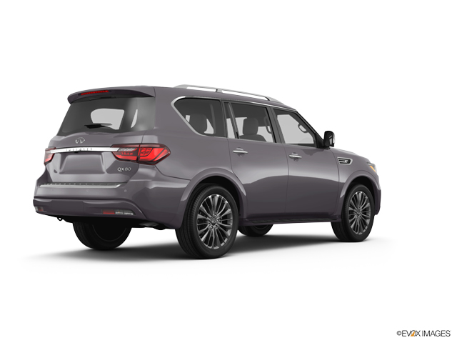 2024 INFINITI QX80 Vehicle Photo in Willow Grove, PA 19090