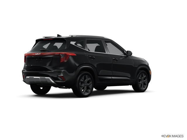 2024 Kia Seltos Vehicle Photo in Lees Summit, MO 64086