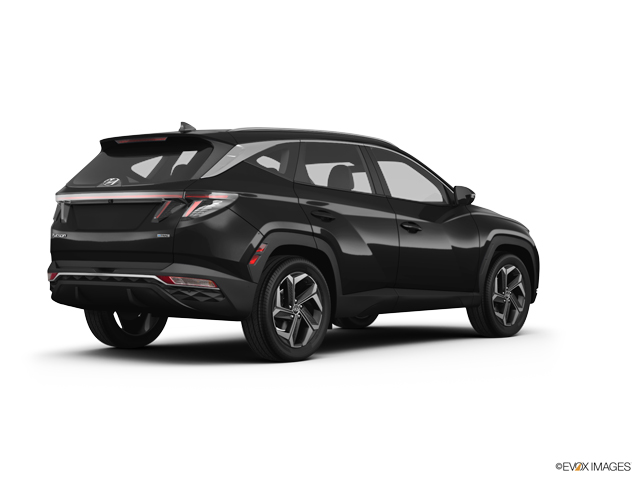 2024 Hyundai TUCSON Vehicle Photo in BEAUFORT, SC 29906-4218