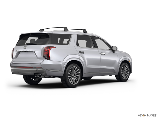 2024 Hyundai PALISADE Vehicle Photo in Brunswick, GA 31525
