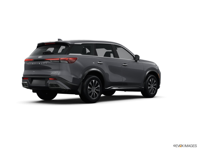 2024 INFINITI QX60 Vehicle Photo in Bluffton, SC 29910