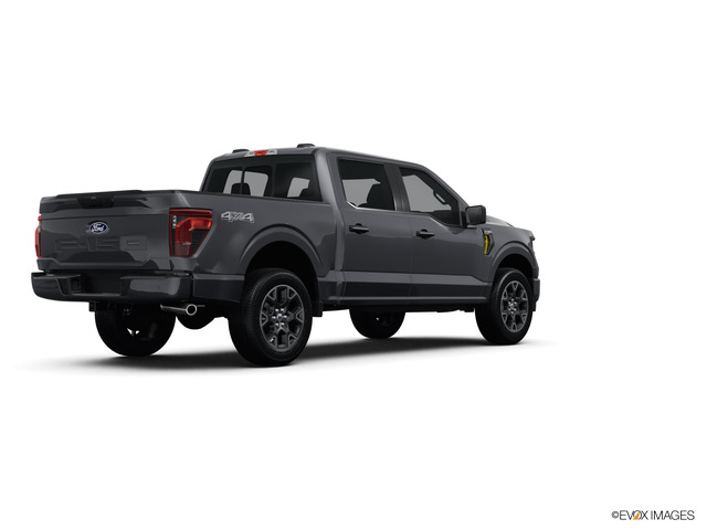 2024 Ford F-150 Vehicle Photo in Savannah, GA 31419