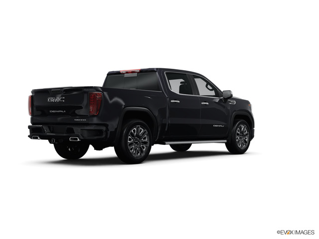 2024 GMC Sierra 1500 Vehicle Photo in BEAUFORT, SC 29906-4218