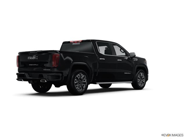 2024 GMC Sierra 1500 Vehicle Photo in SAVANNAH, GA 31406-4513