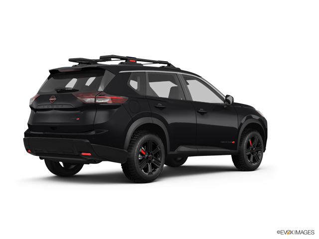 2025 Nissan Rogue Vehicle Photo in Savannah, GA 31419