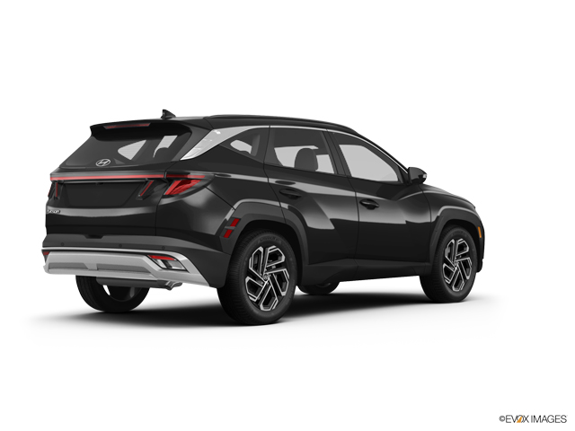 2025 Hyundai TUCSON Vehicle Photo in Statesboro, GA 30458