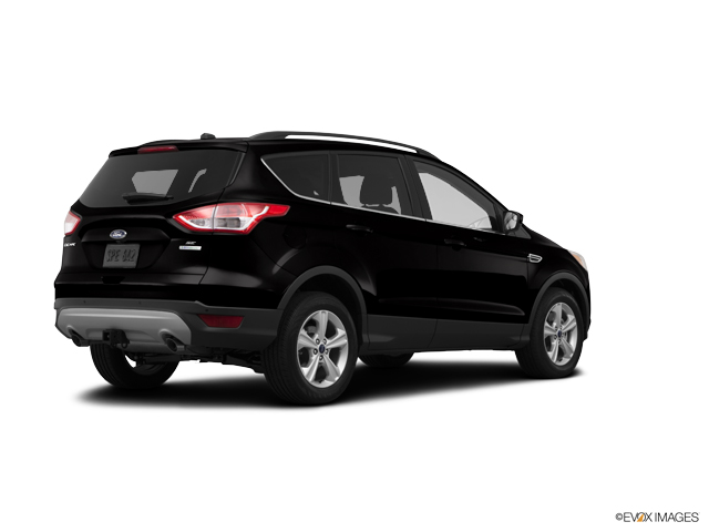 2014 Ford Escape Vehicle Photo in Lees Summit, MO 64086