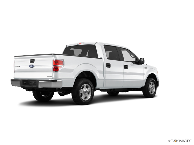 2014 Ford F-150 Vehicle Photo in INDEPENDENCE, MO 64055-1377