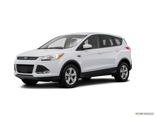 2015 Ford Escape Vehicle Photo in Bluffton, SC 29910