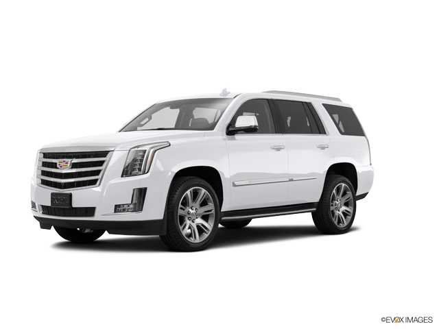 2016 Cadillac Escalade Vehicle Photo in KANSAS CITY, MO 64114-4545