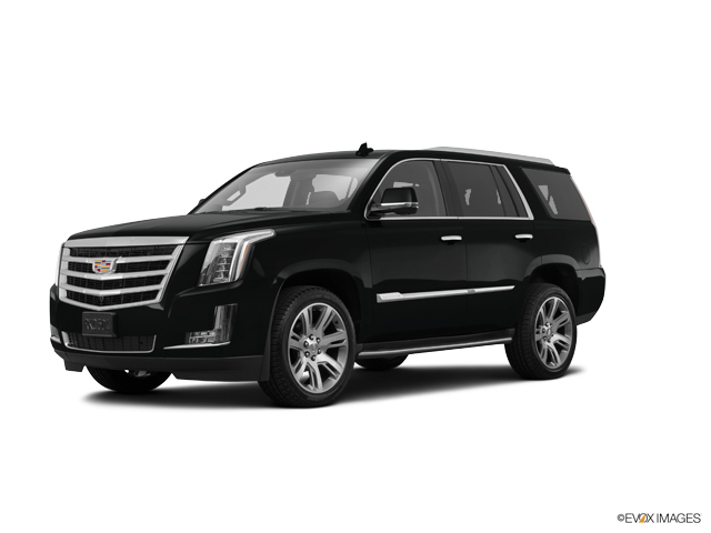 2016 Cadillac Escalade Vehicle Photo in SAVANNAH, GA 31406-4513