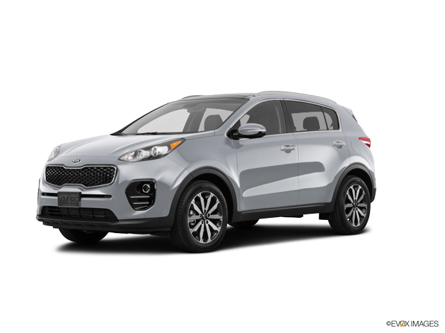 2017 Kia Sportage Vehicle Photo in Lees Summit, MO 64086