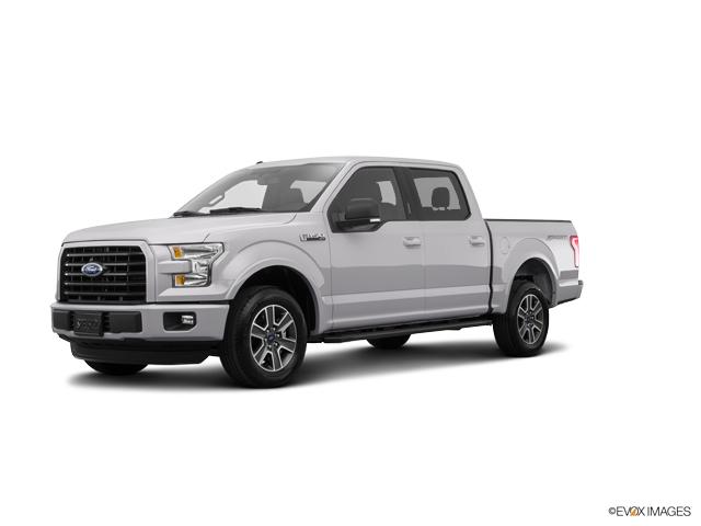 2017 Ford F-150 Vehicle Photo in Bluffton, SC 29910