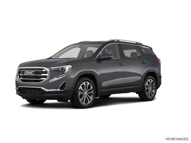 2019 GMC Terrain Vehicle Photo in KANSAS CITY, MO 64114-4502