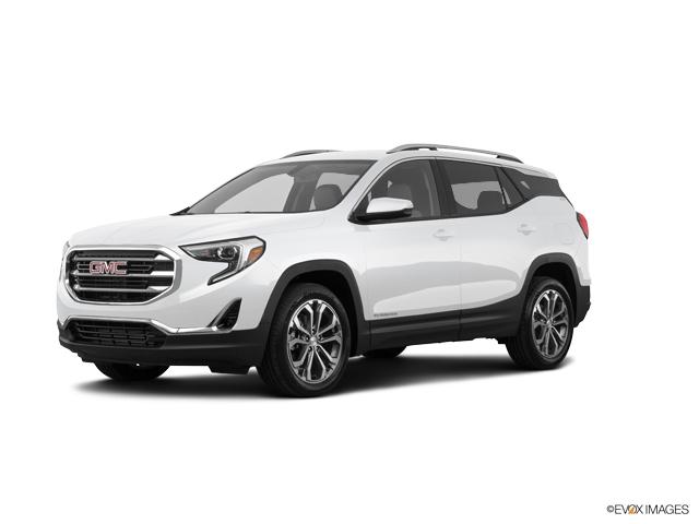 2019 GMC Terrain Vehicle Photo in Lees Summit, MO 64086