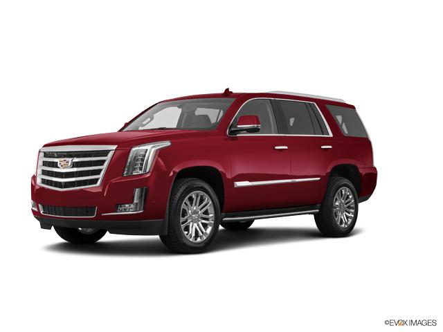 2019 Cadillac Escalade 1GYS4BKJ0KR304355