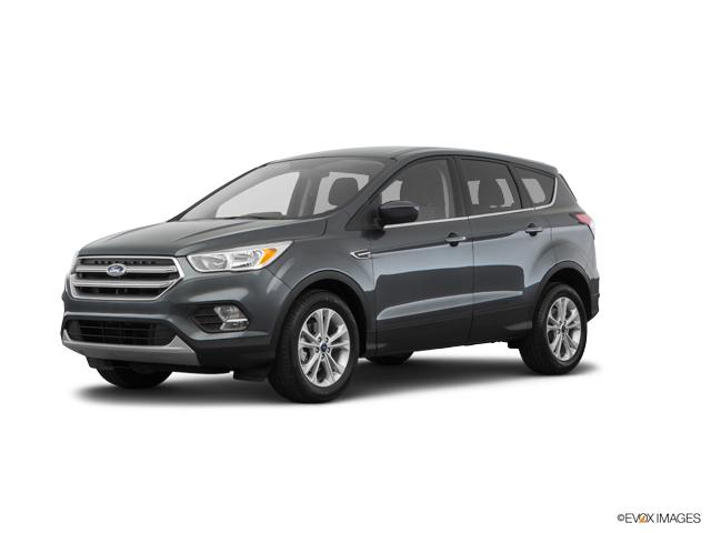 2019 Ford Escape Vehicle Photo in Statesboro, GA 30458