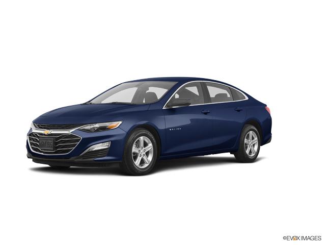 2019 Chevrolet Malibu 1G1ZG5ST4KF183970